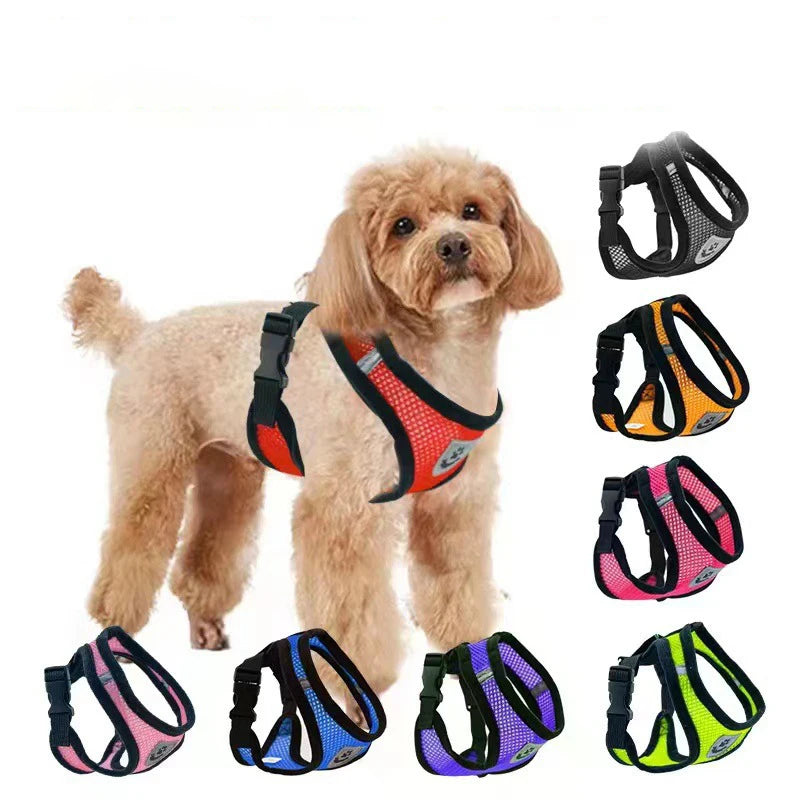 Traje Transpirable de Verano para Mascotas — Cómodo y Ligero