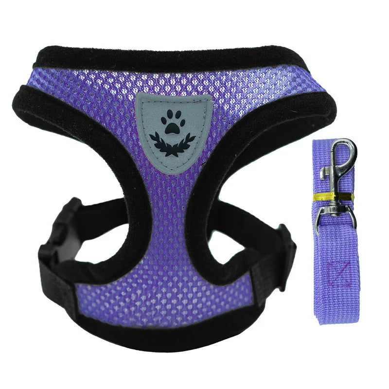 Traje Transpirable de Verano para Mascotas — Cómodo y Ligero