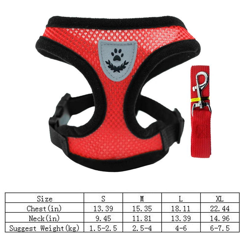 Traje Transpirable de Verano para Mascotas — Cómodo y Ligero