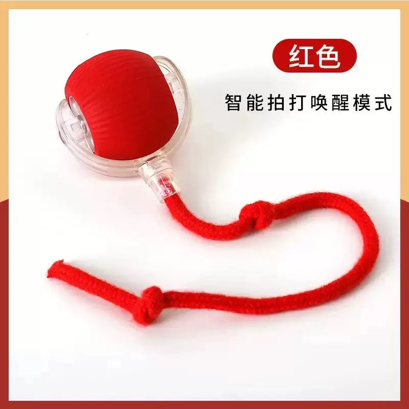 Pelota redonda eléctrica de ETPU resistente a las mordeduras de perros, no tóxica, para entrenamiento de molares y mascotas, con certificación de grado alimenticio.