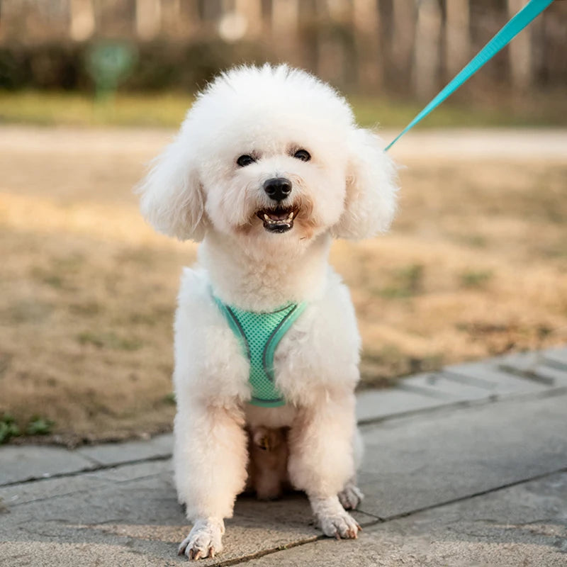 Chaleco transpirable para perros con faja pectoral y correas traseras para prevenir erupciones. Exclusivo para uso en exteriores. Ajustable. Reflejo nocturno.