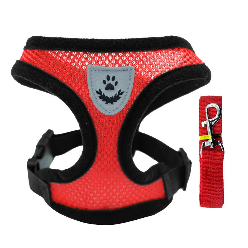 Traje Transpirable de Verano para Mascotas — Cómodo y Ligero