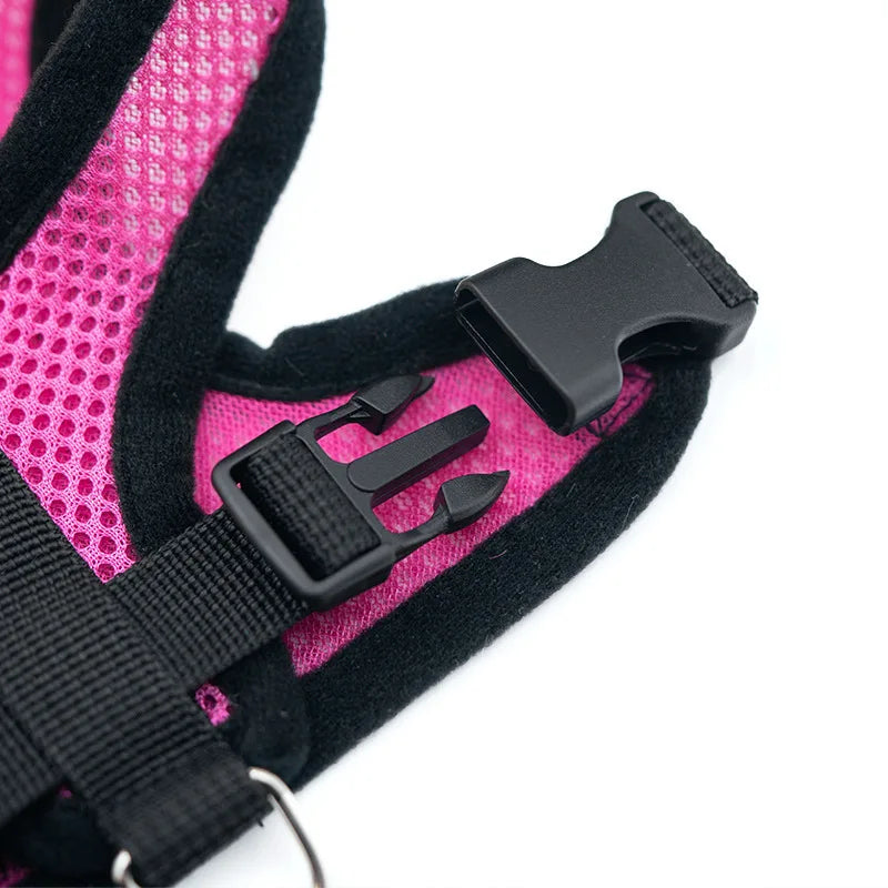 Traje Transpirable de Verano para Mascotas — Cómodo y Ligero
