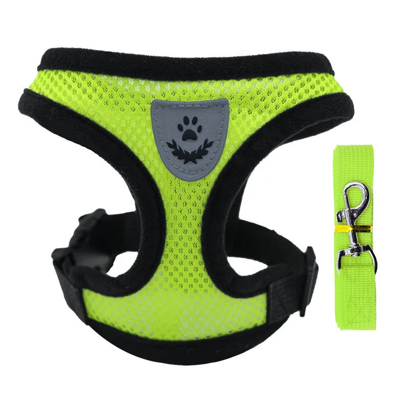 Traje Transpirable de Verano para Mascotas — Cómodo y Ligero