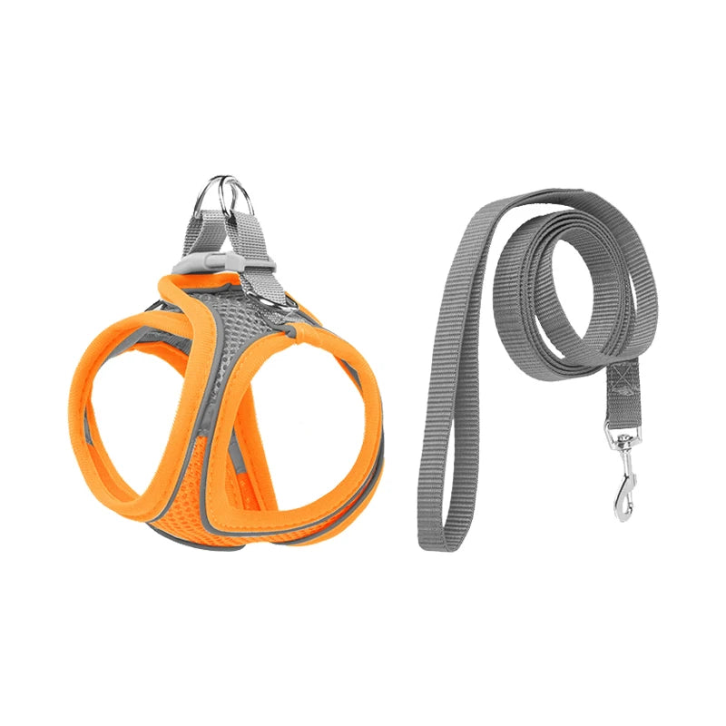 Chaleco transpirable para perros con faja pectoral y correas traseras para prevenir erupciones. Exclusivo para uso en exteriores. Ajustable. Reflejo nocturno.