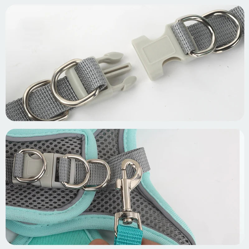 Chaleco transpirable para perros con faja pectoral y correas traseras para prevenir erupciones. Exclusivo para uso en exteriores. Ajustable. Reflejo nocturno.